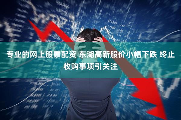 专业的网上股票配资 东湖高新股价小幅下跌 终止收购事项引关注
