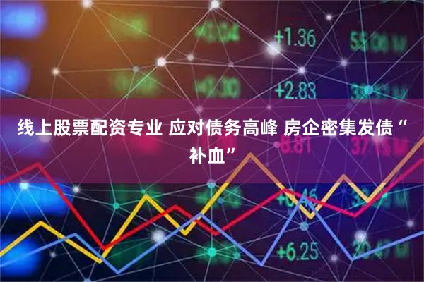 线上股票配资专业 应对债务高峰 房企密集发债“补血”